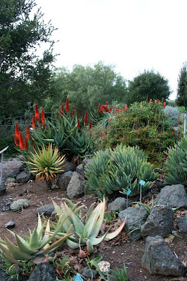 No Fixed Address Botanical Garden San Luis Obispo