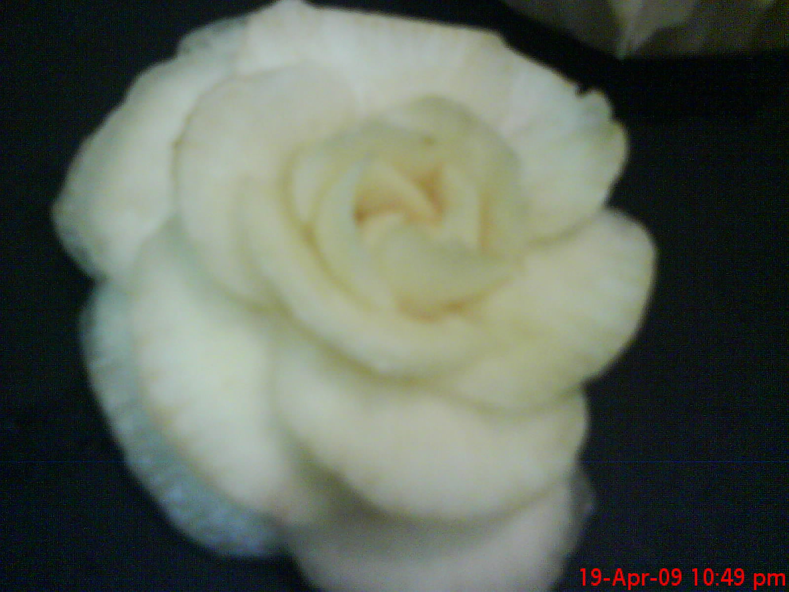 [DSC00354.JPG]