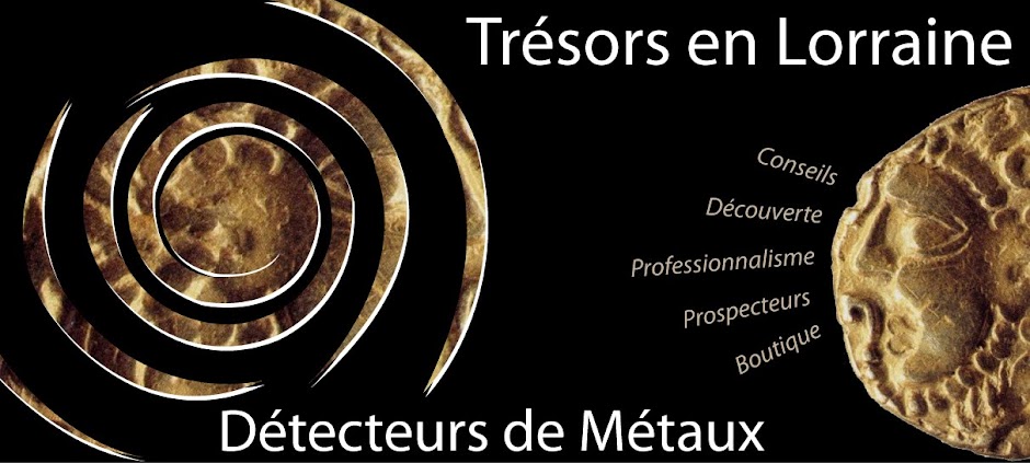 détecteurs de métaux