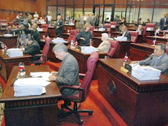 Dice que el Senado podría interpelar a titular de Salud