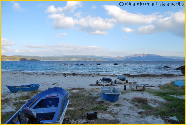 [DSC_0588+[640x480].jpg]