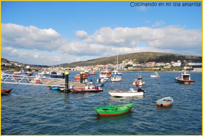 [DSC_0490+[640x480].jpg]