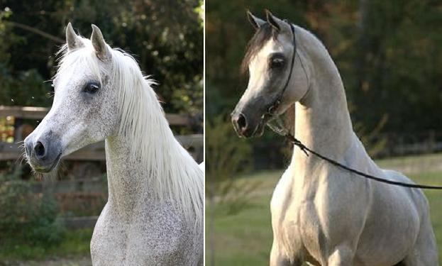 dejta kort kille intresserad