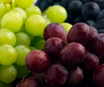 [grapes.jpg]