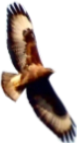 [milhafres.png]