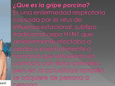 gripe H1N1