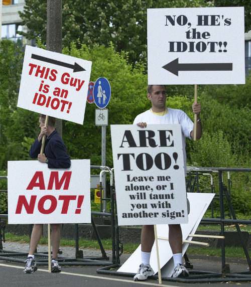 [idiotprotest.jpg]