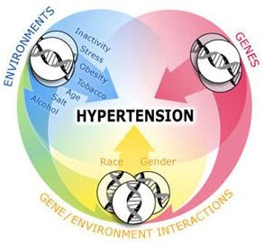 Hypertension Risk Factors Nursing+care+plan+for+hypertension