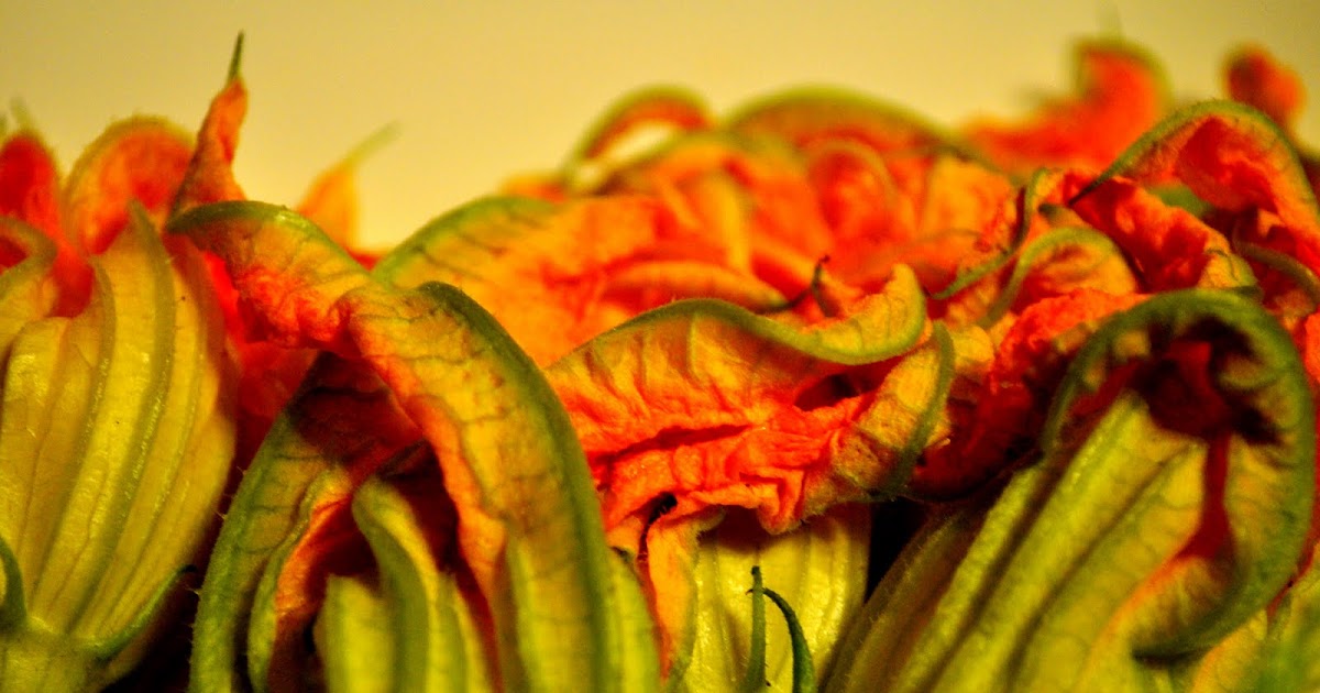 Our Italian Kitchen Fried Zucchini Blossoms