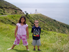 Tip of The North Island