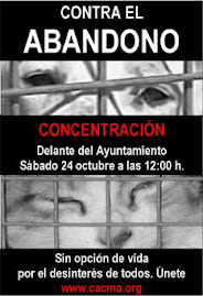 MANIFESTACIÓN 24 DE OCTUBRE