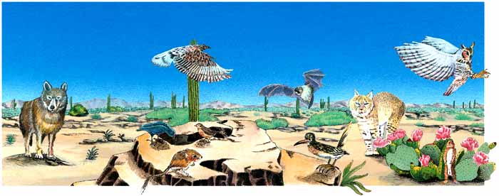LOS ECOSISTEMAS SESIÓN 4 TIPOS DE ECOSISTEMAS LOS ECOSISTEMAS SESIÓN 4 TIPOS DE ECOSISTEMAS