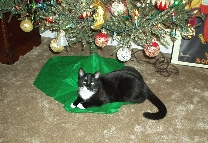 Mr. Cheshire Boots waiting for Santa