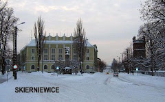 Skierniewice - link do strony (Miasto rodzinne)