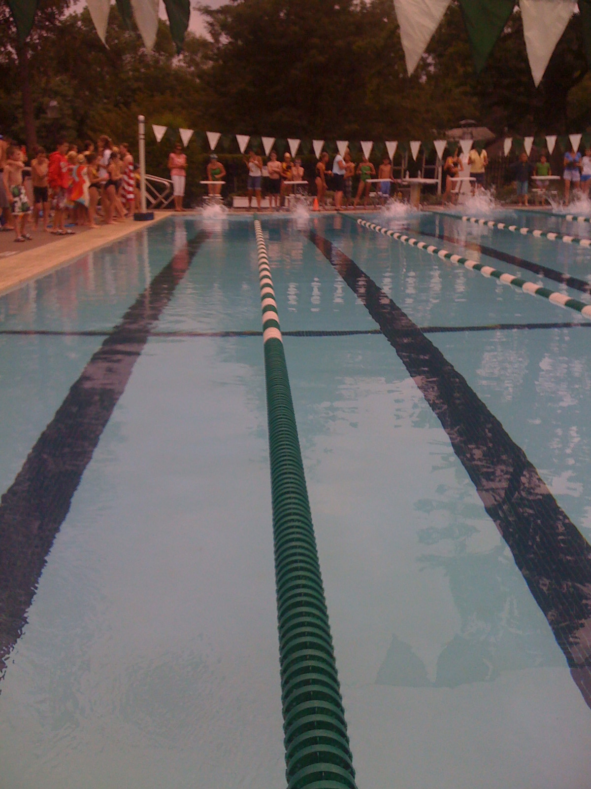 swimmeret PVE Design