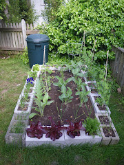The Cinder Block Garden and Compost