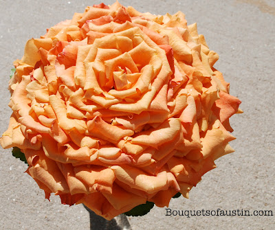 Rose Composite Bouquet