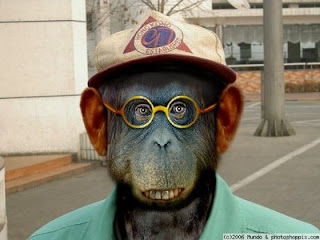 Mono Humano