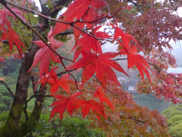 [DSC00690-767057.JPG]