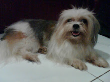 miss my dog...Nancy...