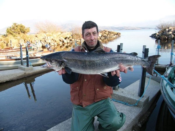 14 fevrier: Eric Jouen prend le 3 saumon de la saison au Currane (12 lbs)