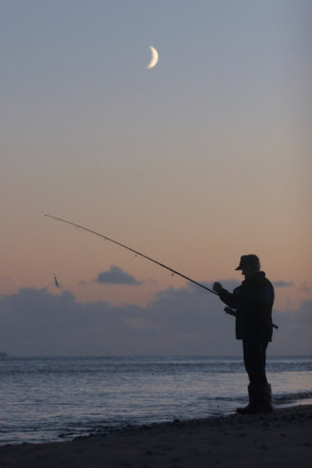 16 juin, 0430hrs à Reenroe Beach (bar ouvert à nouveau)