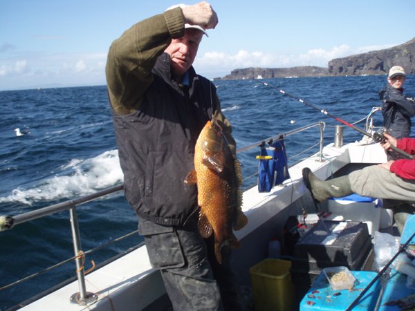 In competition on August 3rd: Shay McDonald with a nearly specimen ballan wrasse