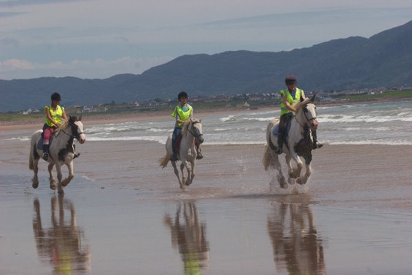 Ah oui, ce petit galop à la plage, ils aiment cela