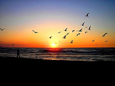 Une promenade en soiree sur la plage de Reenroe