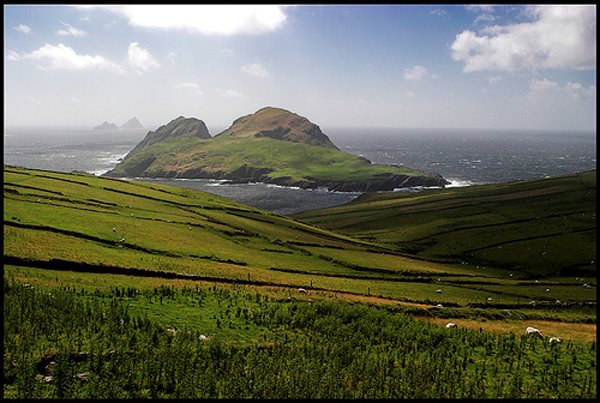 Puffin Island avec à l'arriere Skellig Rocks (2 joyaux ornithologiques)