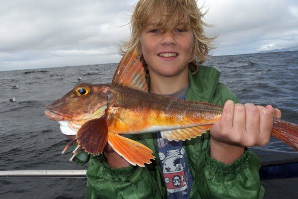 Jack Lyndall (13 ans) avec son superbe grondin rouge (specimen fish) de 1,2kg