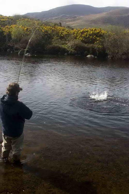 "Lower Caragh": Ein Lachs hat zugeschlagen.