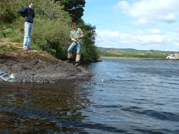 Aktioun op enger vun den klengen Inselen vum lough Currane