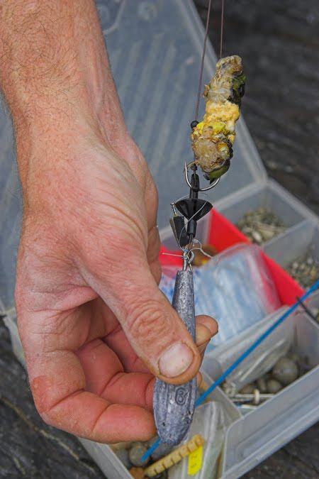 Eng vun den Meiglechkeeten, eng Ballanwrasse ze fenken, een gudden "crabe moux"