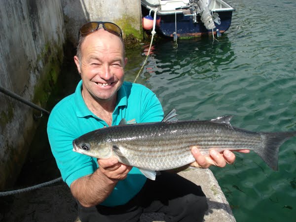 Specimen fish pour Kevin Brain avec ce superbe mulet depassant les 6lbs