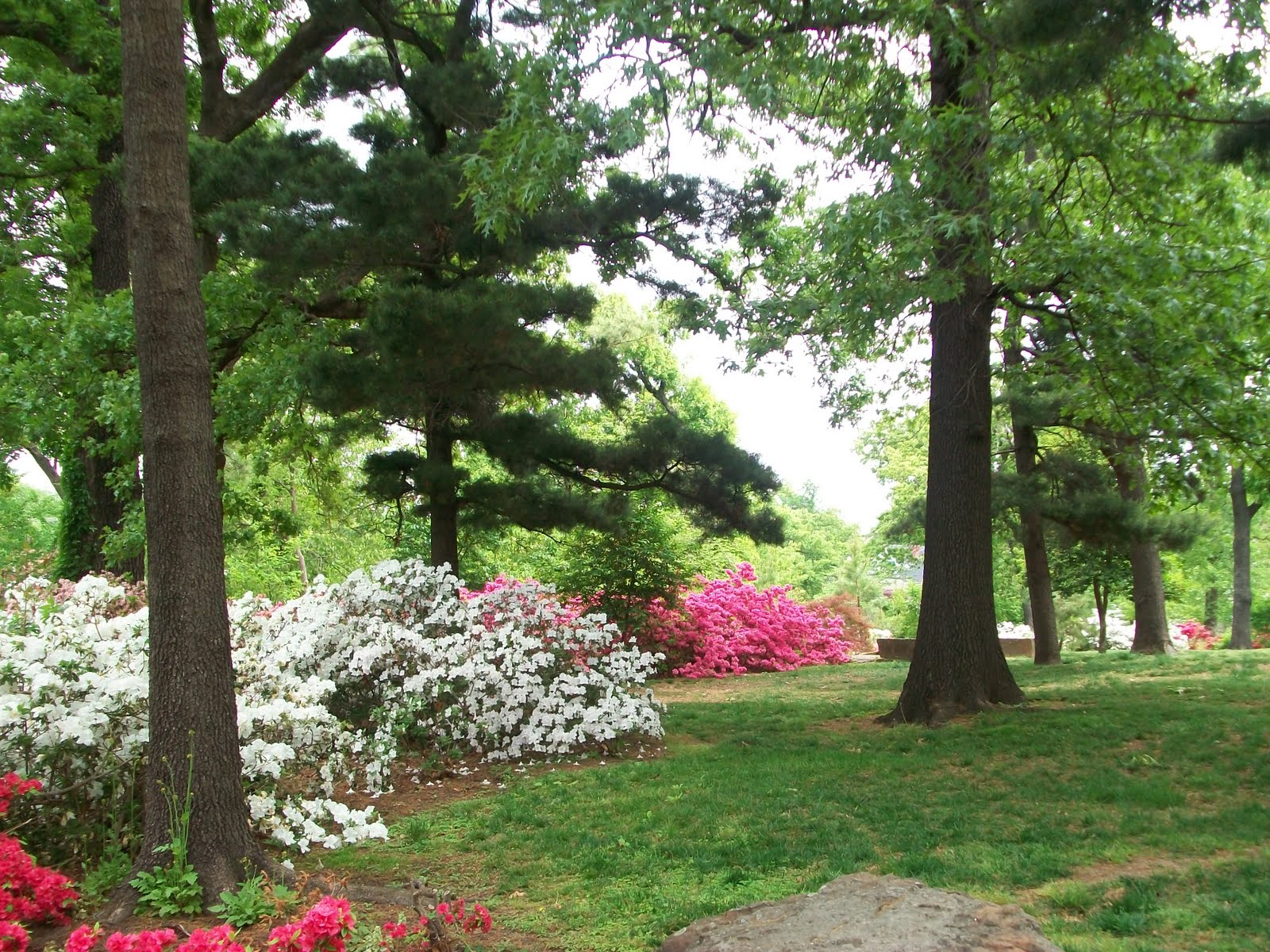 LANDSCAPES BY DALSING WOODWARD PARK PHOTOS