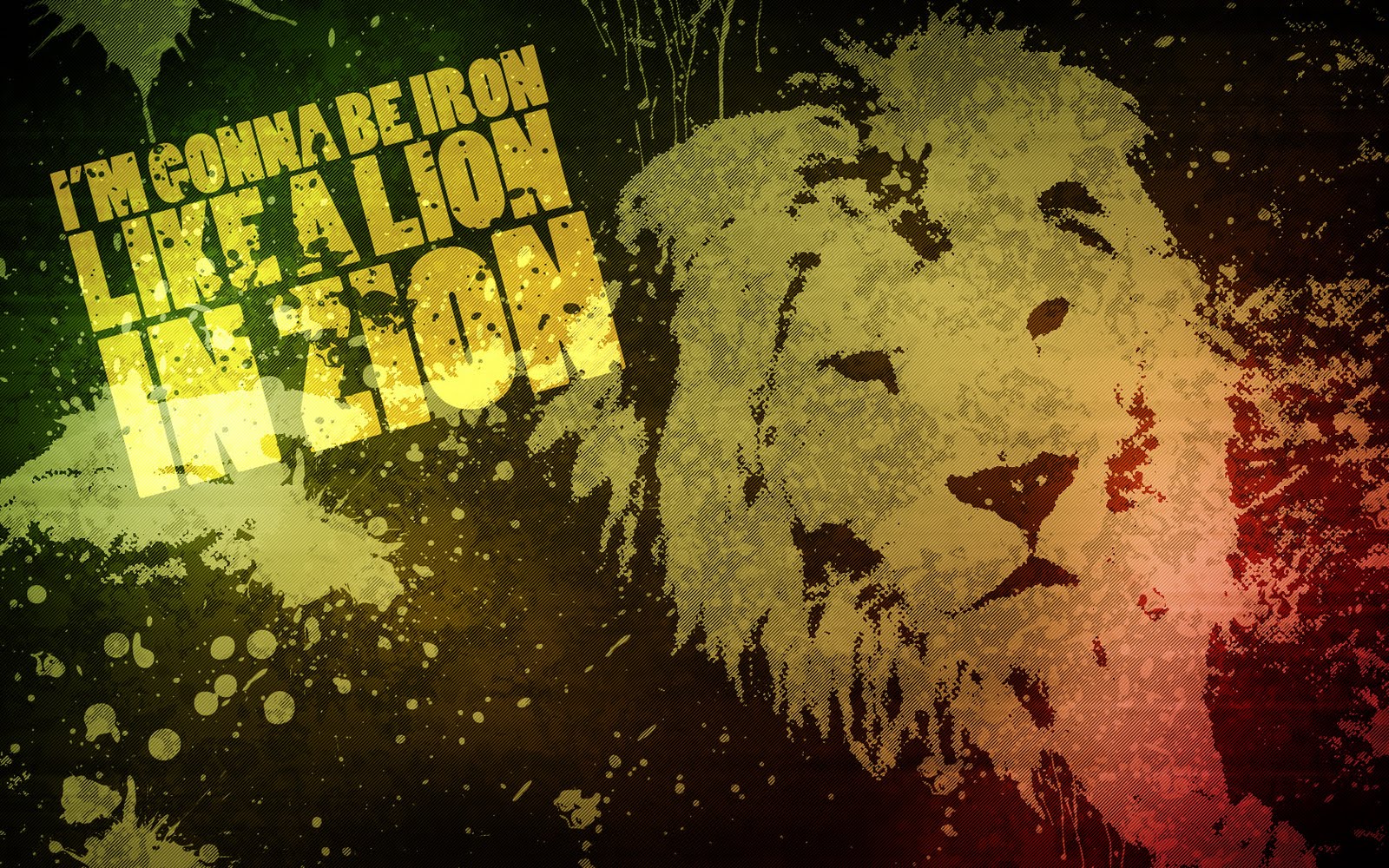hd wallpapers lion