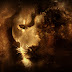 Abstract Lion HD Wallpapers | Backgrounds