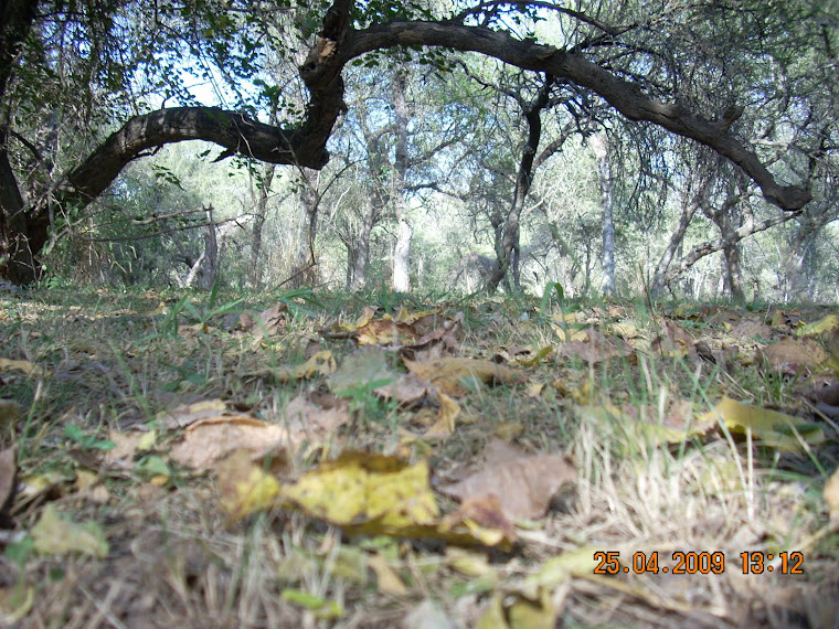 En Otoño