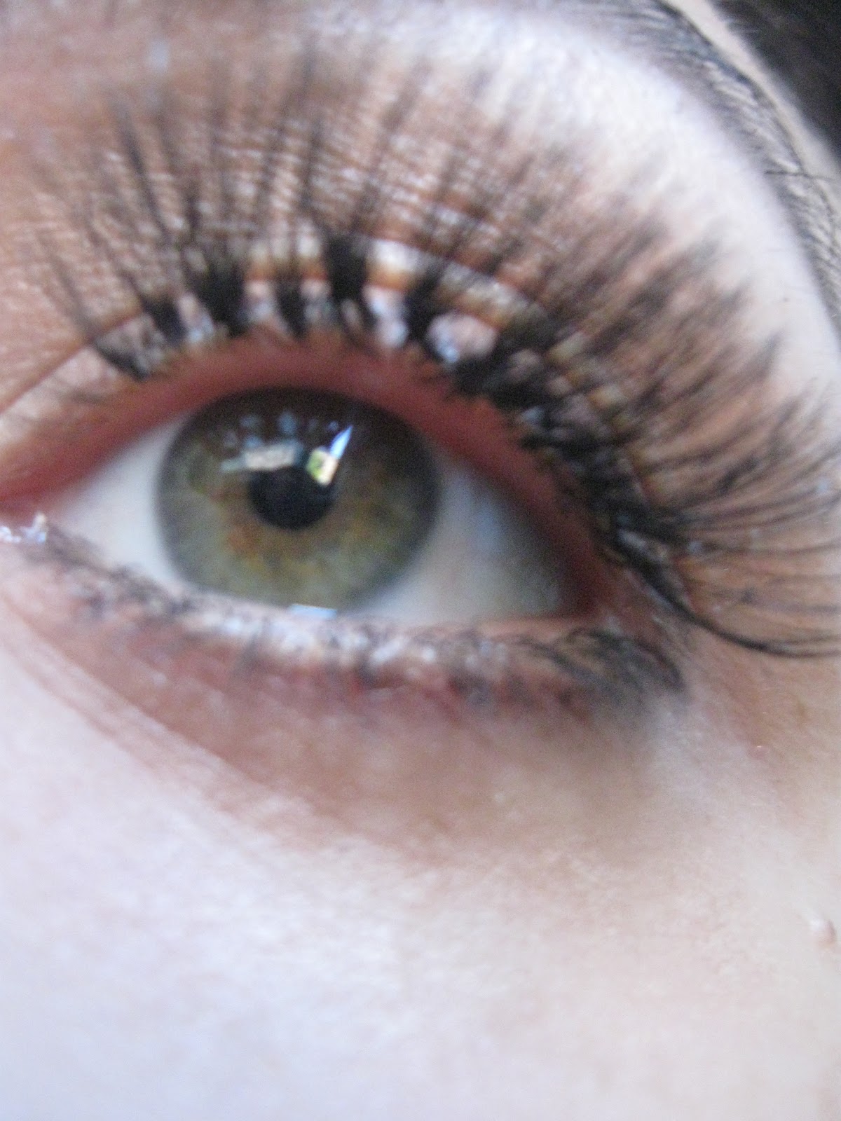 Marie's Powder Room Ardell Duralash Experience....and why i am never