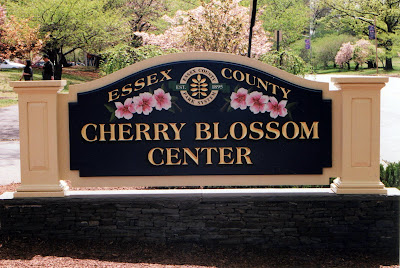 Cherry Blossom Center, Newark, New Jersey Cherry Blossom Center