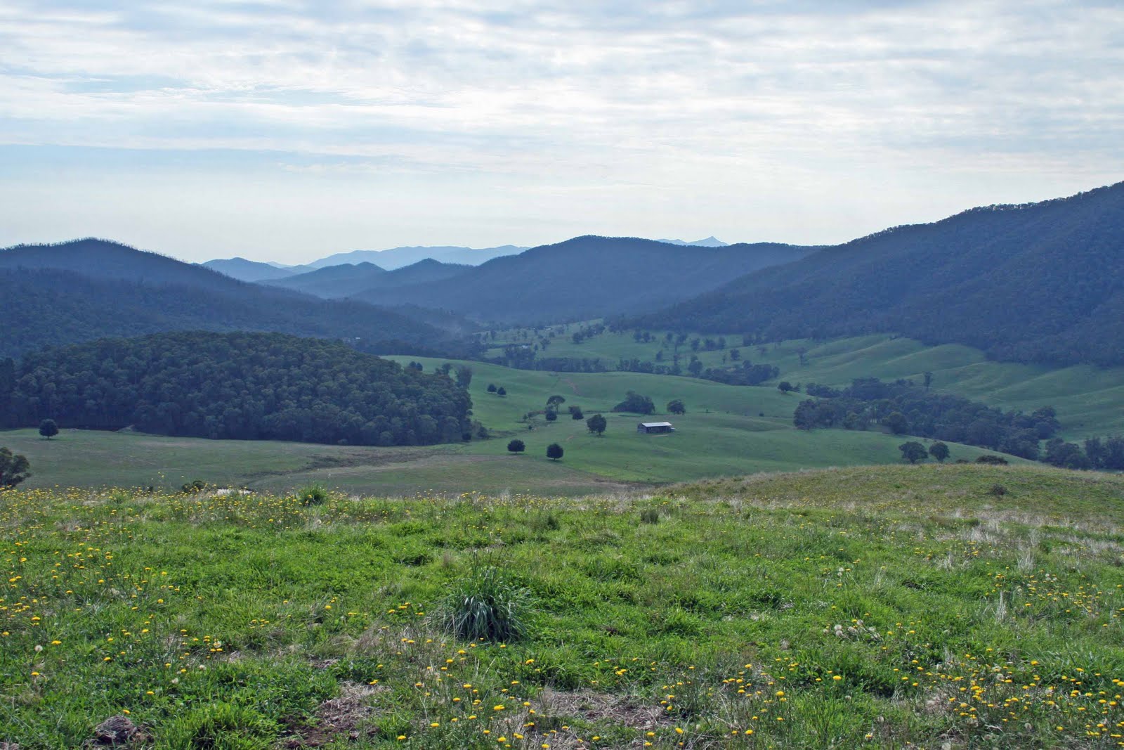 Mark's Excellent Adventure Rose Valley Memories