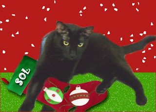 Love and head buts to effurry cat, woofie an critter in tha Cat Blogosphere... Sol