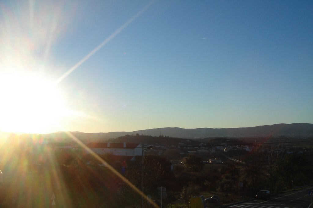 [DSC09587.JPG]
