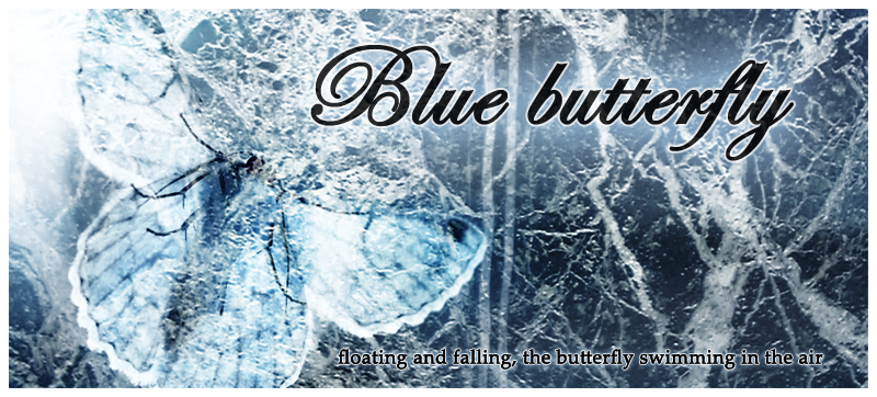 Butterfly no melody