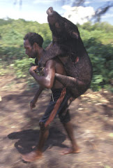 Uko Jalong ala' cha manai babui ka' lalut siku.