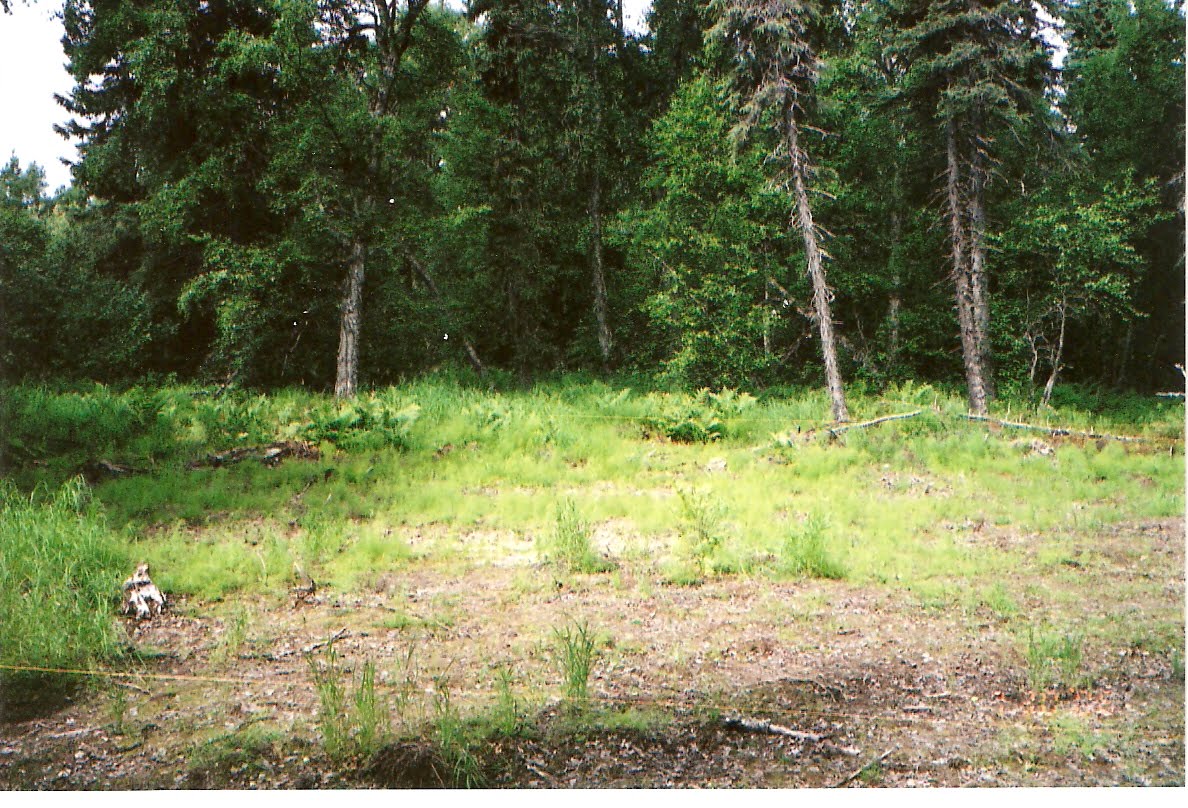 [scan0003.jpg]