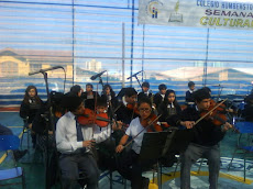 Orquesta de cámara se luce en semana cultural...