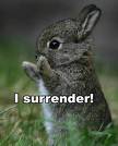 [surrender.jpeg]
