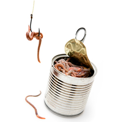Fishing Worms